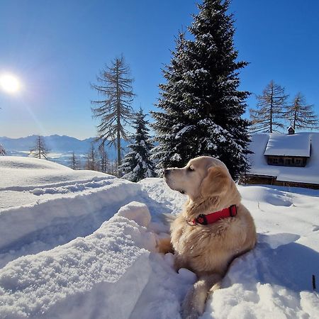 Chalet Petit Kanzelhohe エクステリア 写真